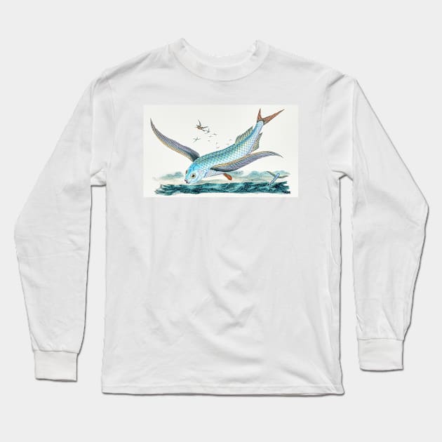 Flying Fish Long Sleeve T-Shirt by derek beattie